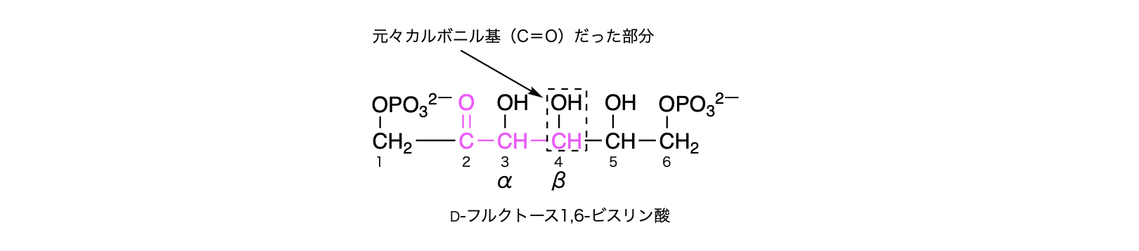解説画像